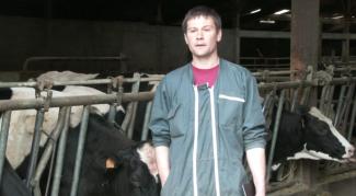 Temoignage Vet'Mobile